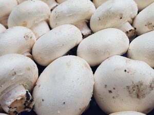 Xampinyons