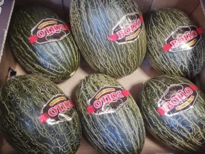 Meló Bollo 1kg
